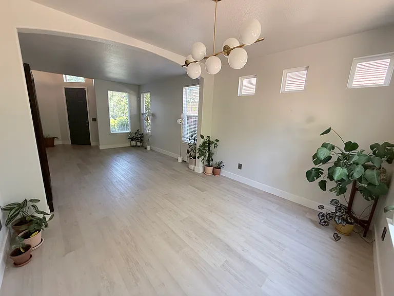 972 Cameron Dr — Photo 3