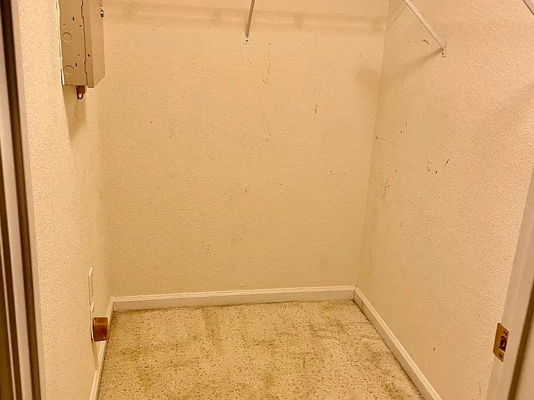 Bedroom 2 walk-in closet