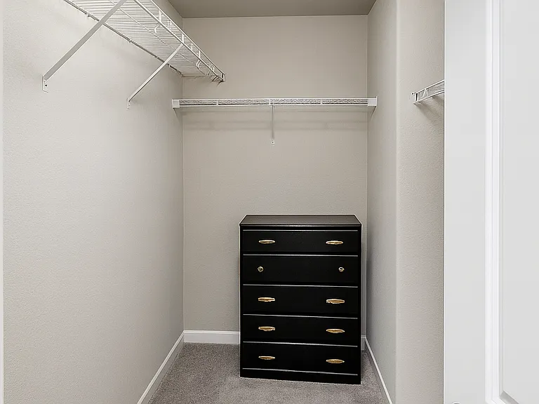 Primary Closet
