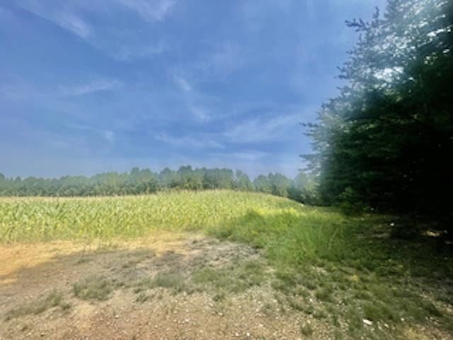 2nd image of Saint Paul Church Rd