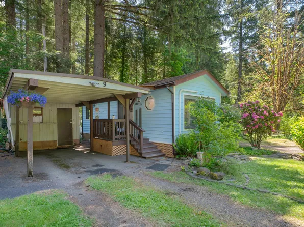 55636 McKenzie River Dr Space 9, Blue River, OR 97413