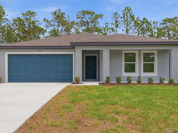 593 W Heronsbill Ln, Citrus Springs, FL 34434