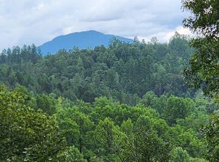 3 Cross Creek Trl, Mill Spring, NC 28756