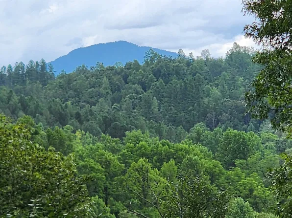 3 Cross Creek Trl, Mill Spring, NC 28756