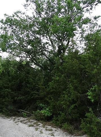 2nd image of 9004 Timber Trl