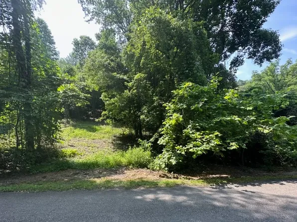 106 W River Trce, Ellijay, GA 30536