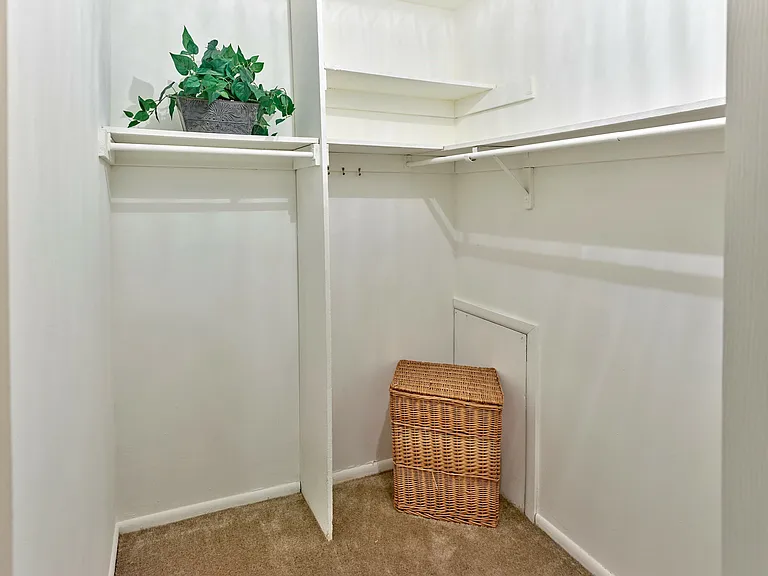 Expansive walk-in closet at Haynes Run Apartments featuring shelving, hanging rods, and plush carpeting for optimal organization and comfort.