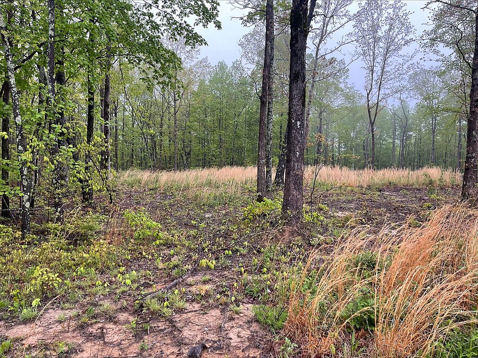 0 Box House Rd LOT 24, Belvidere, TN 37306 Zillow