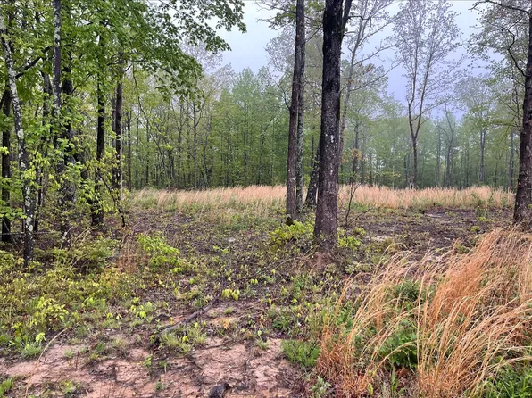 0 Box House Rd Lot 24, Belvidere, TN 37306