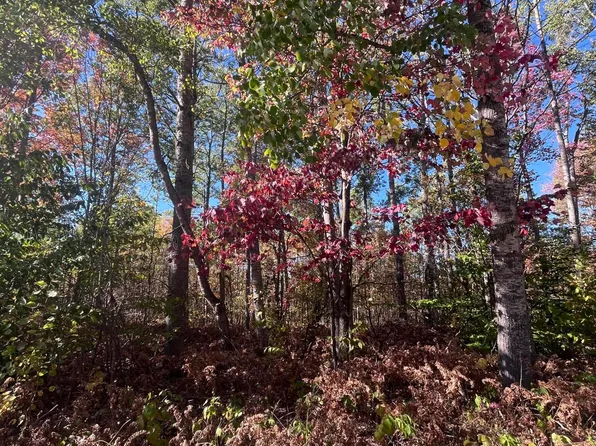 LOT 123 Wyckerly Dr, Mancelona, MI 49659