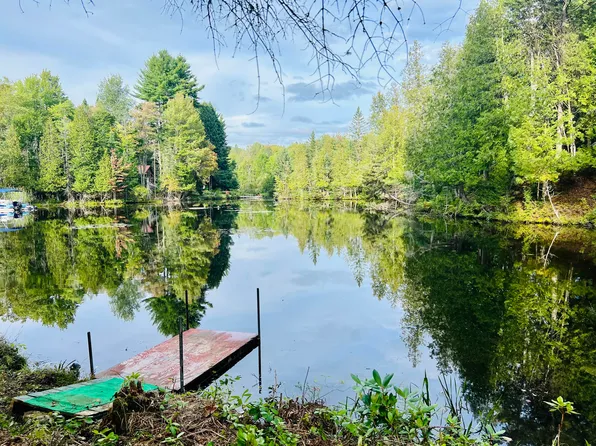 109 Mallard Point Ln, Indian Lake, NY 12842