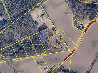 LOT Ervin Thomas Rd, Effingham, SC 29541