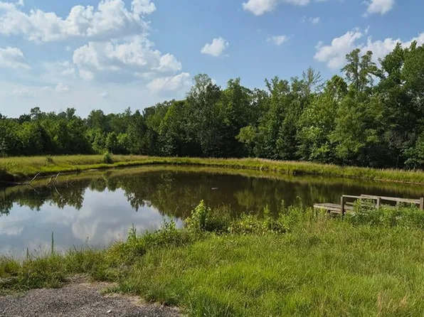 107 Lewis Hill Ln, Brodnax, VA 23920
