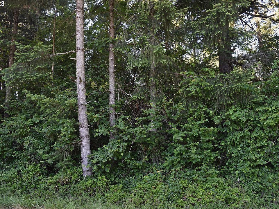 2nd image of 0 NW 379th St