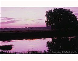 2nd image of 12209 Broadwater Loop