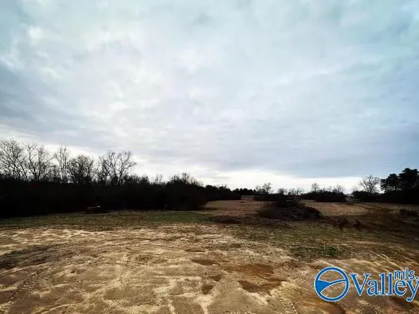Evatt Dr SE, Fort Payne, AL 35967