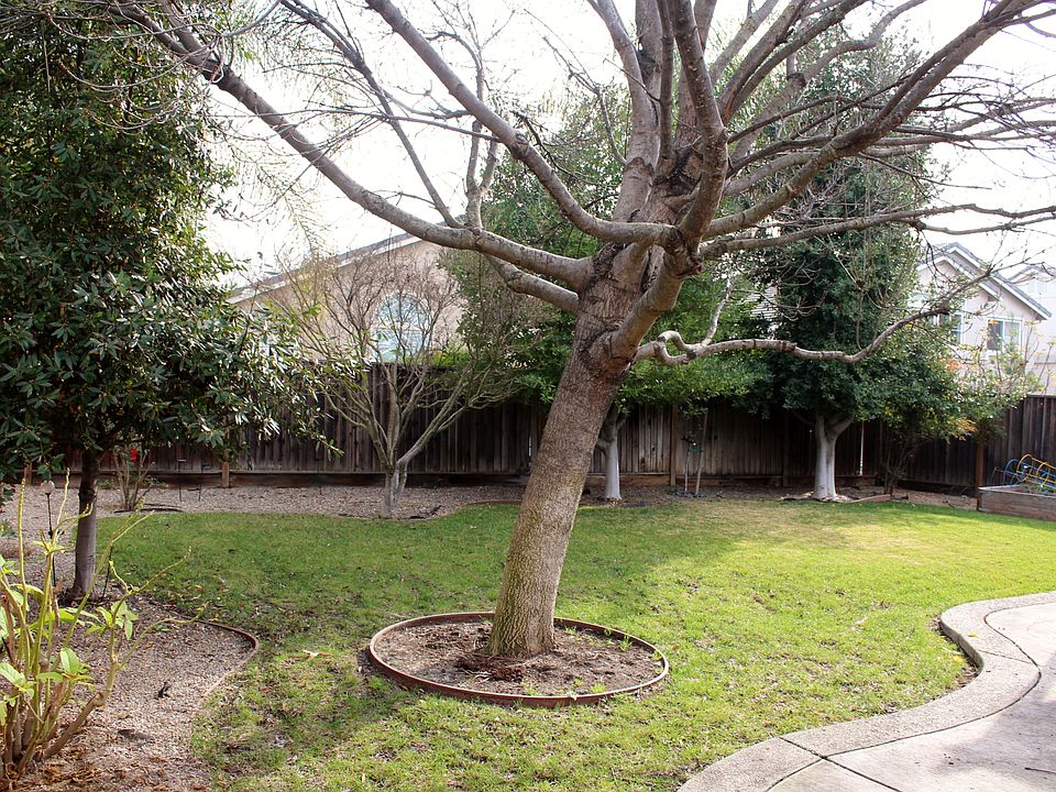 1st image of 914 Blossom Dr