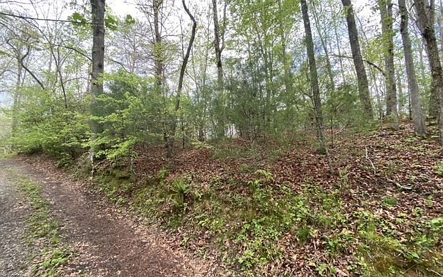 2nd image of R Dogwood Hl