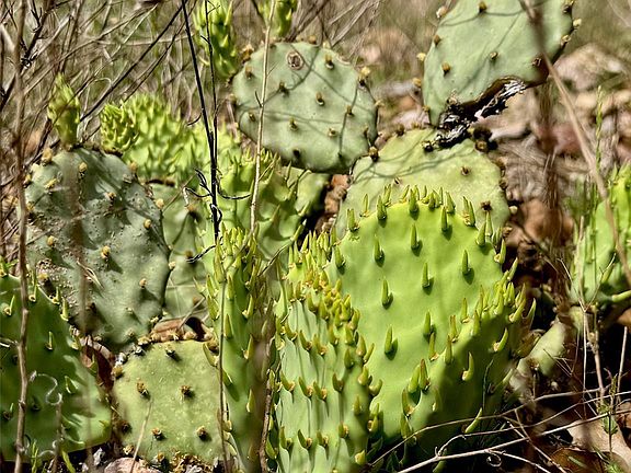 5th image of Hudson Rd