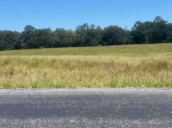 3830 NW 31st Ave, Bell, FL 32619