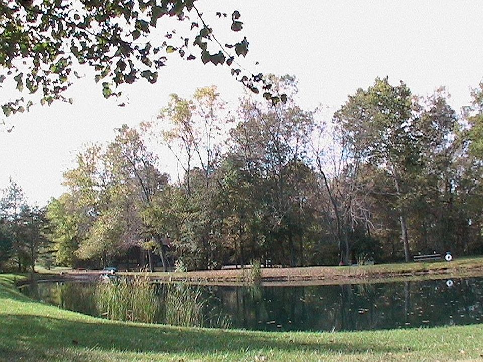 Your Own Stocked Pond!