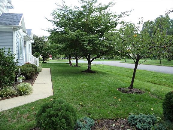 The Front Yard
