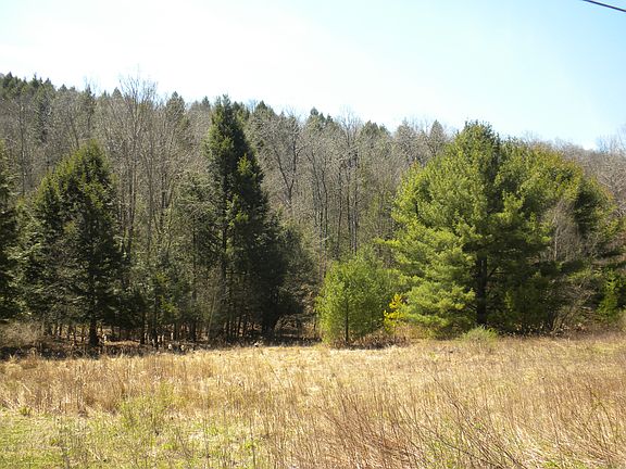 3rd image of 602 Ouaquaga Rd