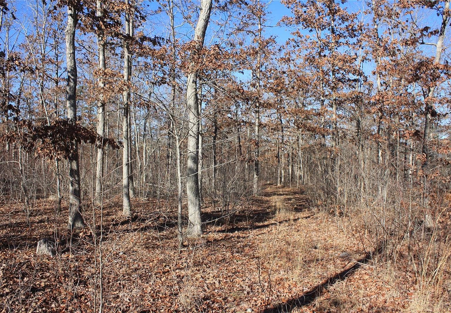 3 County Road 750, Centerville, MO 63633 Zillow