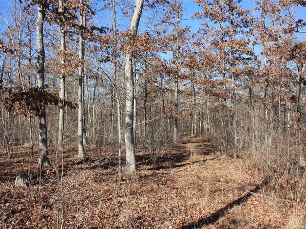 3 County Road 750, Centerville, MO 63633