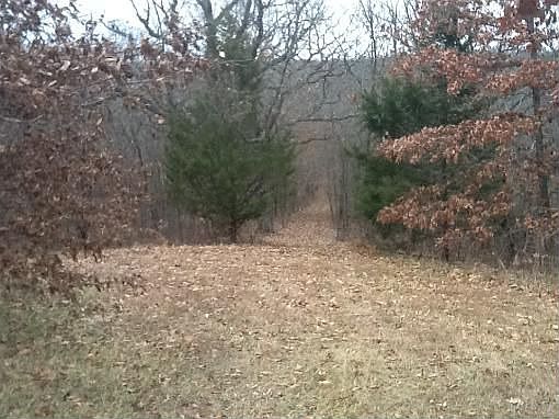 5th image of 27294 State Highway Cc