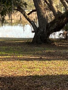 5118 Shorewood Dr #516, Dade City, FL, 33523