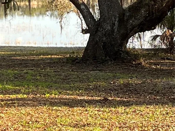 5118 Shorewood Dr #516, Dade City, FL 33523