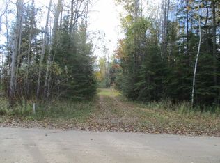 Wilderness Trl, Saint Helen, MI 48656