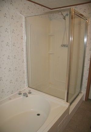 Master Tub/Shower