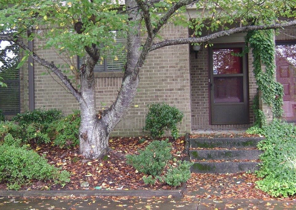 1st image of 8037 Charter Oak Ln