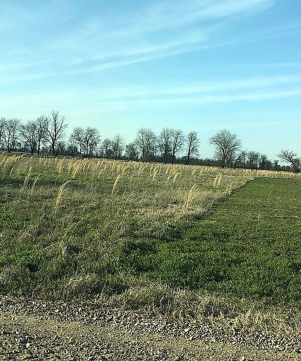 2nd image of 205 County Road 562
