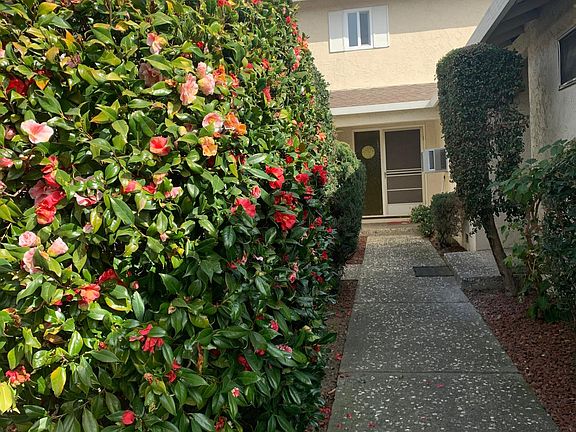 3rd image of 1062 Topaz Ave APT 3