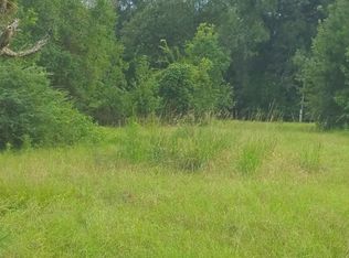 14266 Harry Savoy Rd, Saint Amant, LA 70774