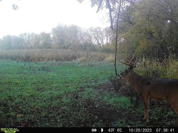 0 Briten Rd, Blair, WI 54616