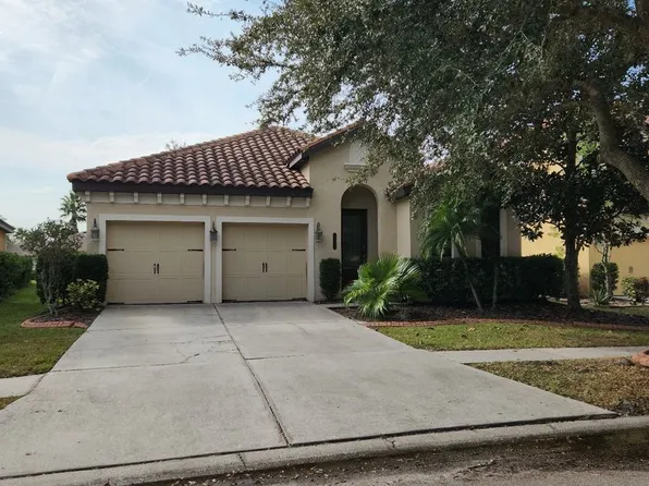20311 Chestnut Grove Dr, Tampa, FL 33647