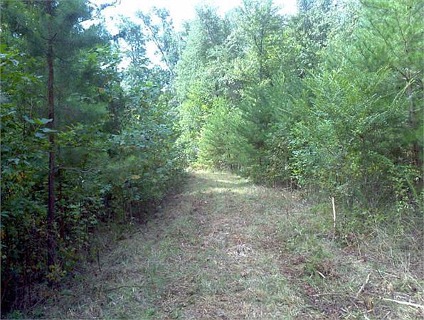 2nd image of Tigerville Rd
