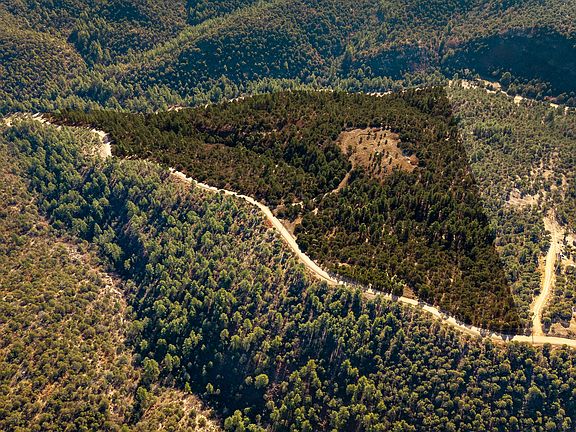 3rd image of Four Mile Canyon Rd