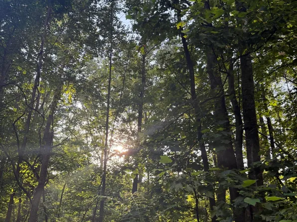 44 Oak Knob Ct Lot 44, Timberlake, NC 27583