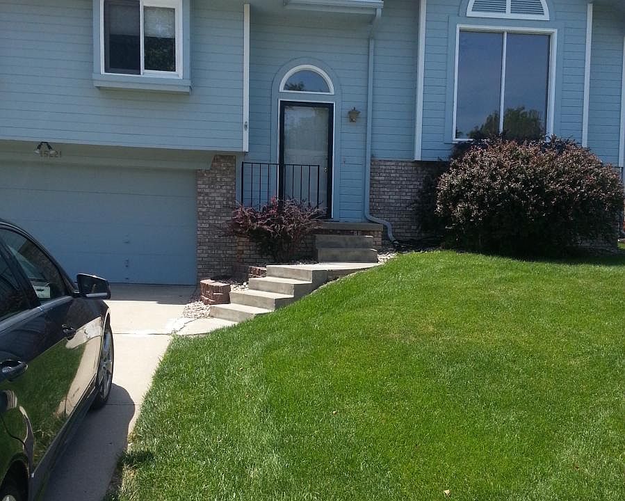 The house