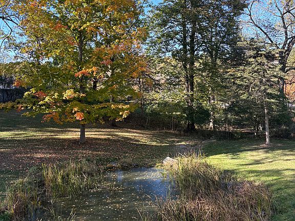 Pond view from mother in law suite