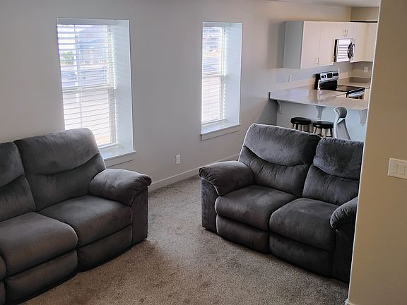 Couches 2 yrs old. Furniture optional