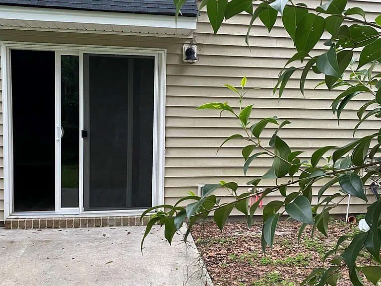 back yard