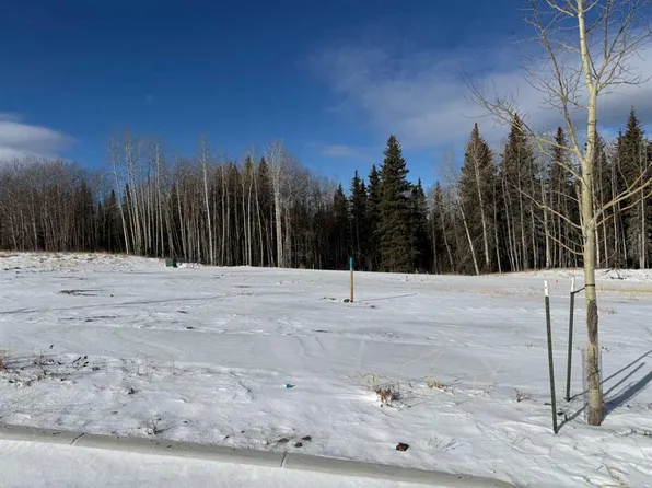 468 Lily Ave, Nordegg, AB T0M 2H0