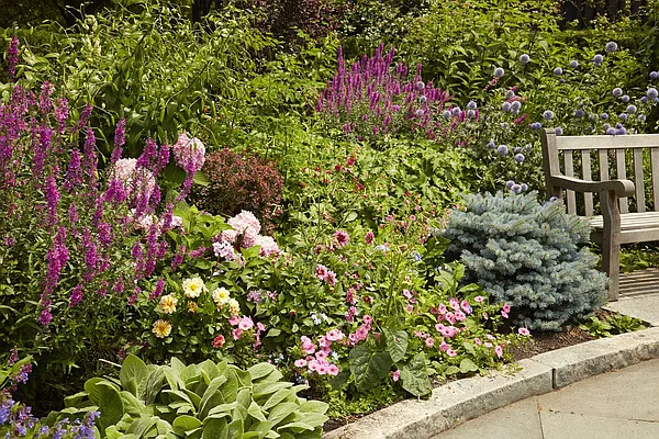 Sold by Compass | media 19