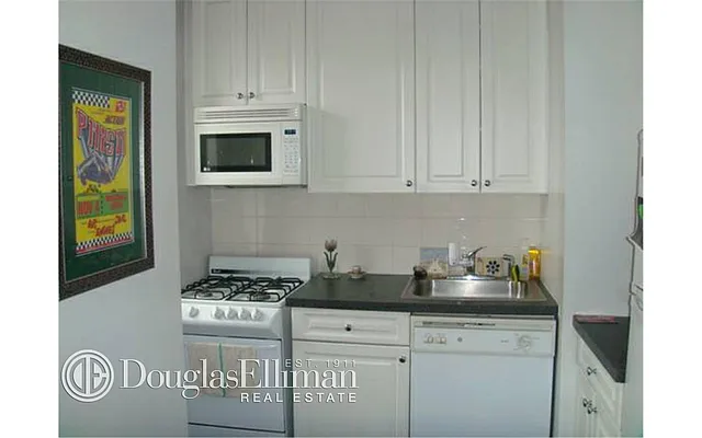 Rented by Douglas Elliman | media 16